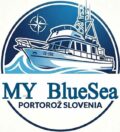 cropped logo2.jpg