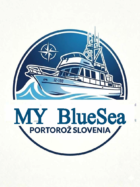 logo2
